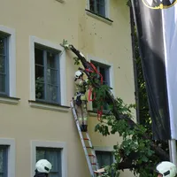 rathaus_4.jpg