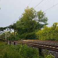 stadtmuenchen3.jpg