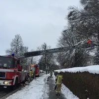 baum_auf_fahrbahn_12012019.jpg
